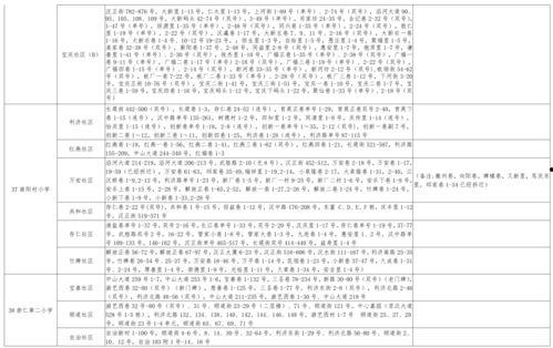 山大后卫爆料视频大全最新,揭秘篮球场上的精彩瞬间与幕后故事